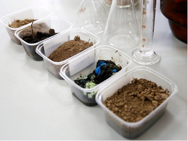 Анализ почвы и грунта - узнать подробнее Анализ почвы и грунта заказать