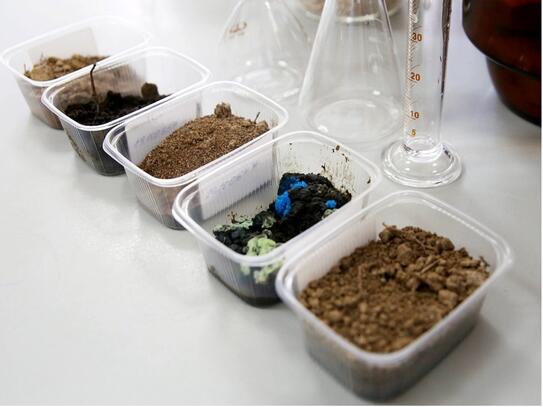 Анализ почвы и грунта Анализ почвы и грунта в СургутПНИИС